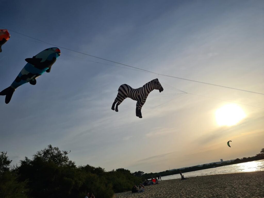 Bassin d'Arcachon